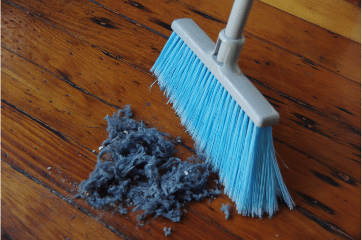 ReNew Cleaning Co